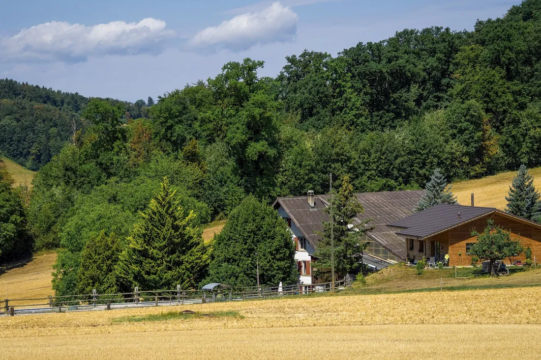 Bauernhaus mit Holzfassade am Waldrand, davor ein abgeerntetes Getreidefeld im Sommer.