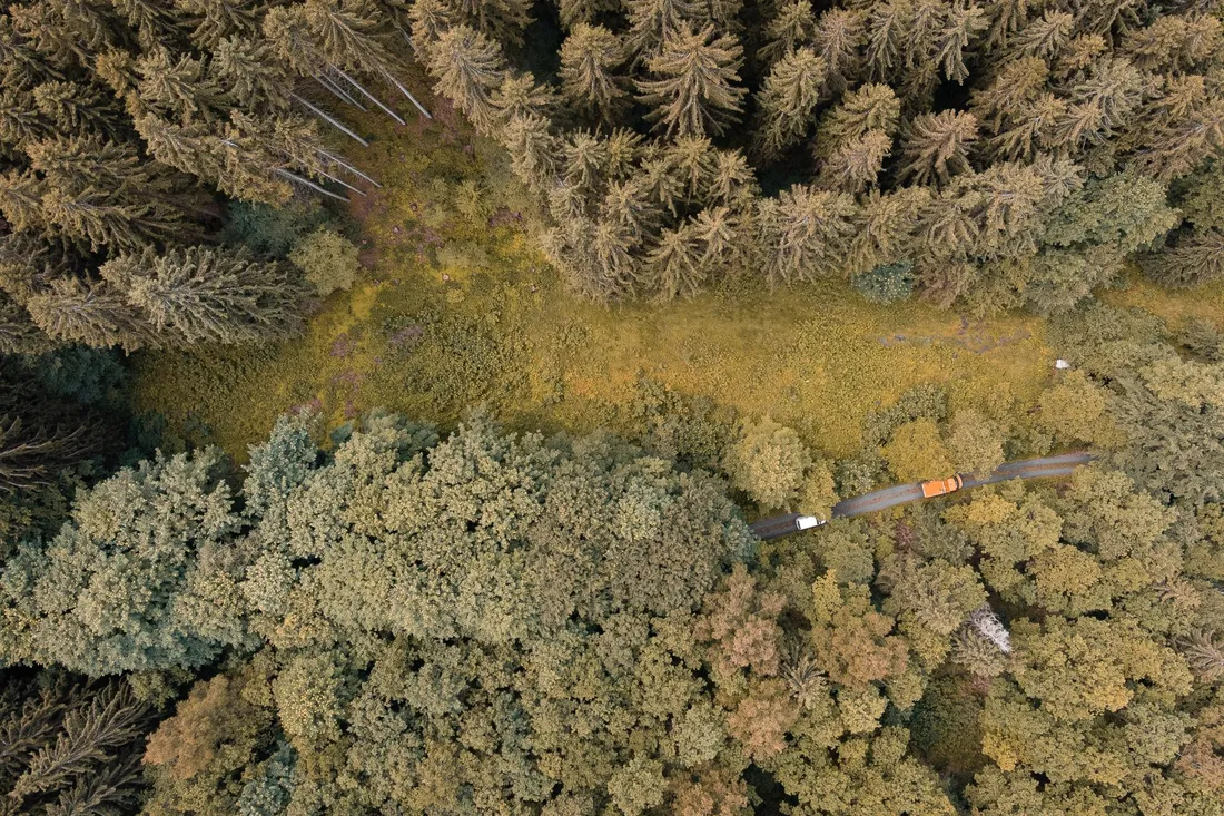 Luftbild einer schmalen Waldstraße, auf der ein oranger Lastwagen zwischen Nadelbäumen fährt.