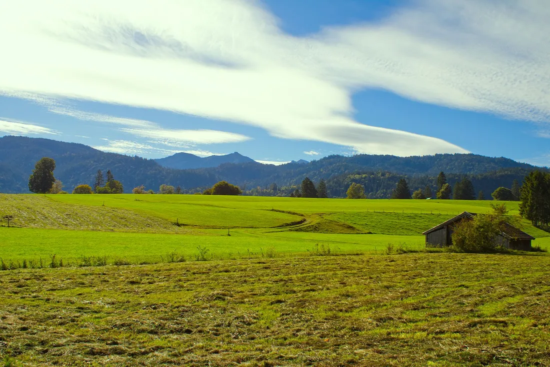 Sonnige Wiesenlandschaft mit einer alten Holzscheune, am Horizont bewaldete Hügel und Berge.